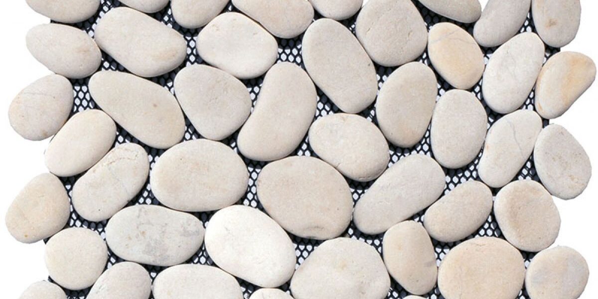 98bd2bca55d94b1a07b8a342c35843c2